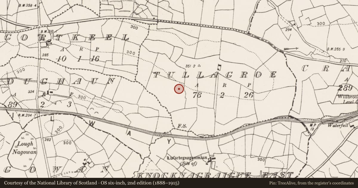Ordnance Survey six-inch map, 2nd edition (1888–1915) covering the location of Enclosure, Tullagroe, County Clare, with a pin at the register's coordinates