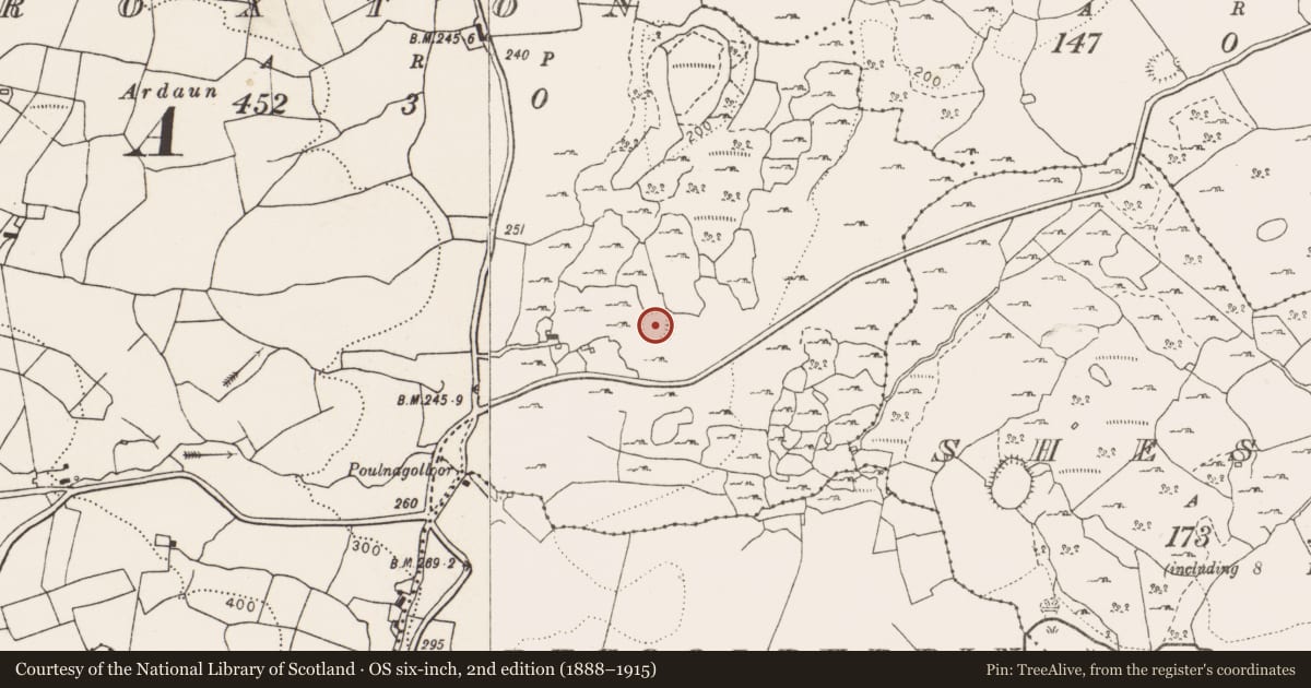 Ordnance Survey six-inch map, 2nd edition (1888–1915) covering the location of Ringfort - cashel, Roxton, County Clare, with a pin at the register's coordinates