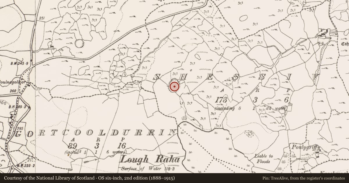 Ordnance Survey six-inch map, 2nd edition (1888–1915) covering the location of Enclosure, Shessiv, County Clare, with a pin at the register's coordinates