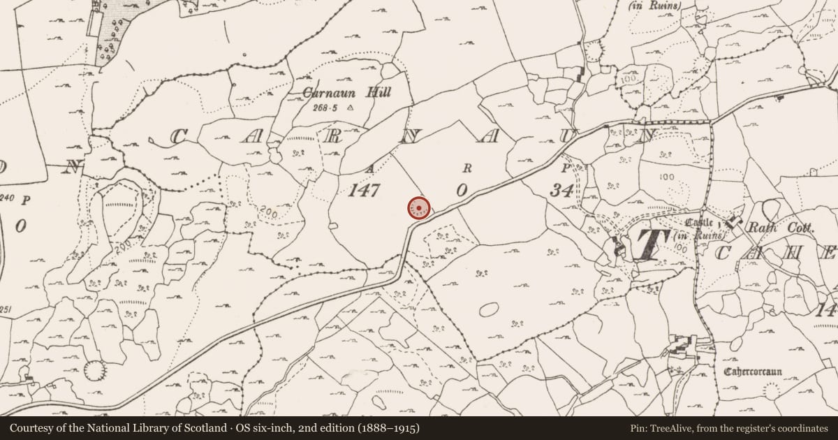 Ordnance Survey six-inch map, 2nd edition (1888–1915) covering the location of Ringfort - rath, Carnaun, County Clare, with a pin at the register's coordinates