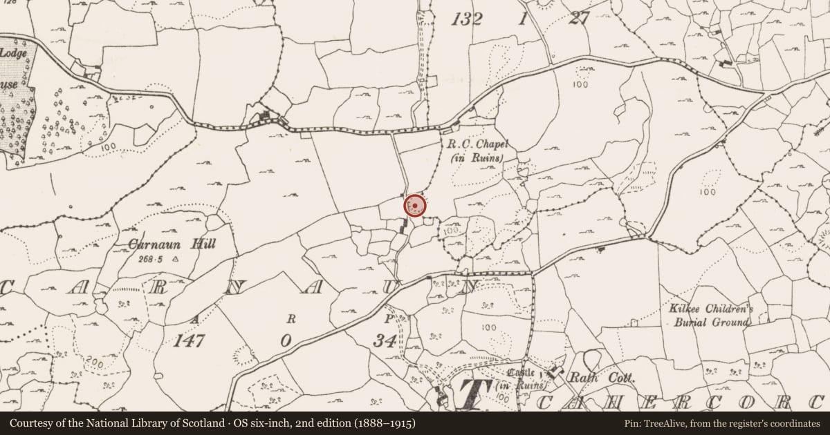 Ordnance Survey six-inch map, 2nd edition (1888–1915) covering the location of Ringfort - rath, Carnaun, Liscullaun, County Clare, with a pin at the register's coordinates