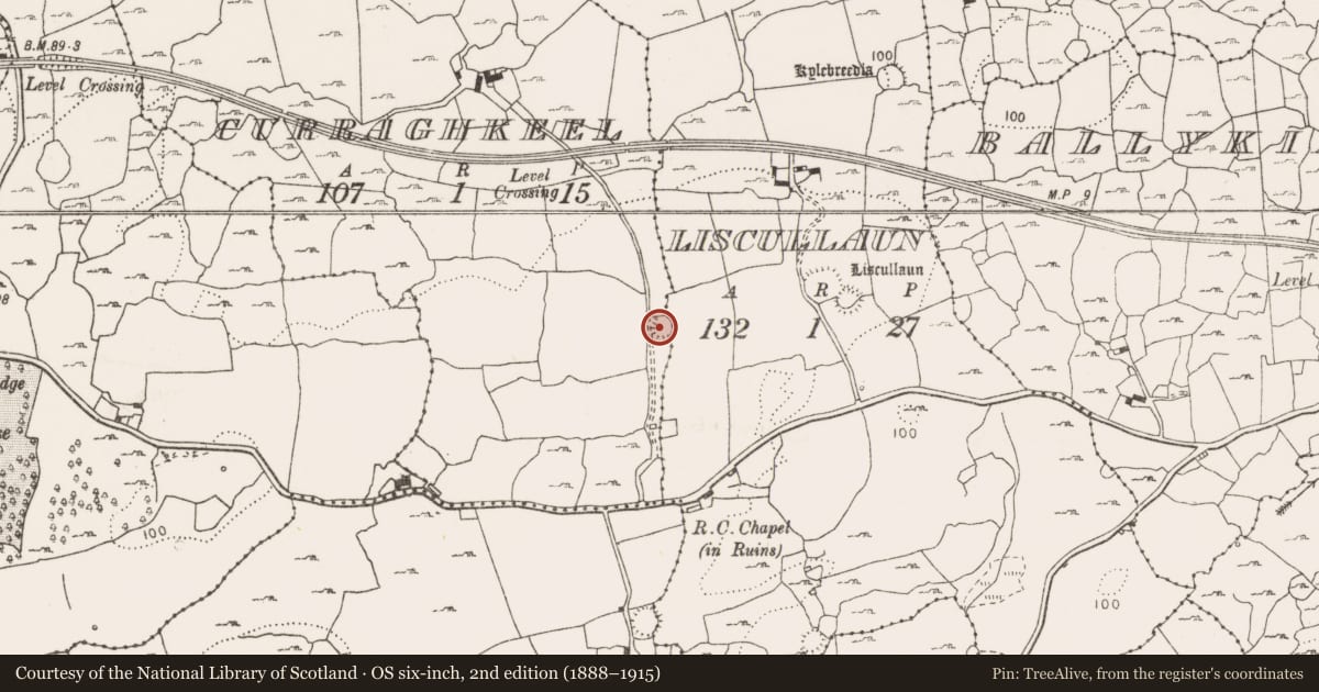 Ordnance Survey six-inch map, 2nd edition (1888–1915) covering the location of Enclosure, Curraghkeel, County Clare, with a pin at the register's coordinates