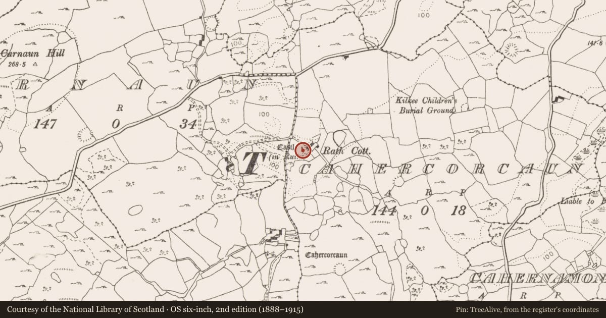 Ordnance Survey six-inch map, 2nd edition (1888–1915) covering the location of Castle - tower house, Cahercorcaun, County Clare, with a pin at the register's coordinates