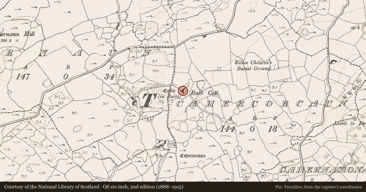 Ordnance Survey six-inch map, 2nd edition (1888–1915) covering the location of Inscribed stone, Cahercorcaun, County Clare, with a pin at the register's coordinates