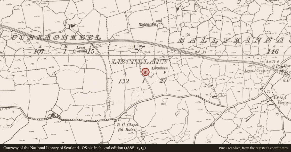 Ordnance Survey six-inch map, 2nd edition (1888–1915) covering the location of Enclosure, Liscullaun, County Clare, with a pin at the register's coordinates