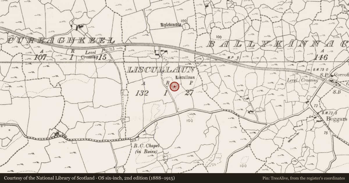 Ordnance Survey six-inch map, 2nd edition (1888–1915) covering the location of Ringfort - cashel, Liscullaun, County Clare, with a pin at the register's coordinates