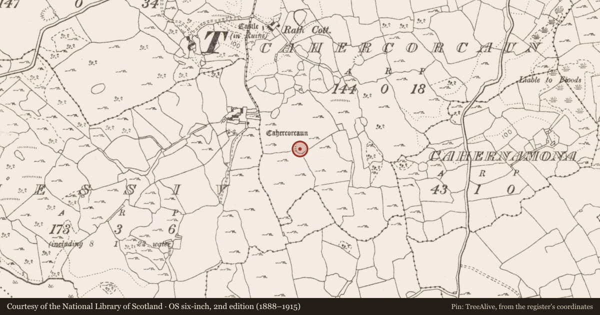 Ordnance Survey six-inch map, 2nd edition (1888–1915) covering the location of Ringfort - cashel, Cahercorcaun, County Clare, with a pin at the register's coordinates