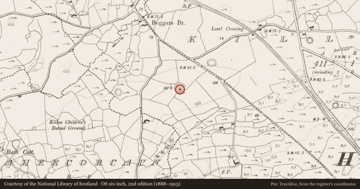 Ordnance Survey six-inch map, 2nd edition (1888–1915) covering the location of Ringfort - rath, Cregmoher, County Clare, with a pin at the register's coordinates