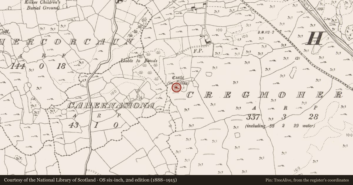 Ordnance Survey six-inch map, 2nd edition (1888–1915) covering the location of Castle - tower house, Cregmoher, County Clare, with a pin at the register's coordinates