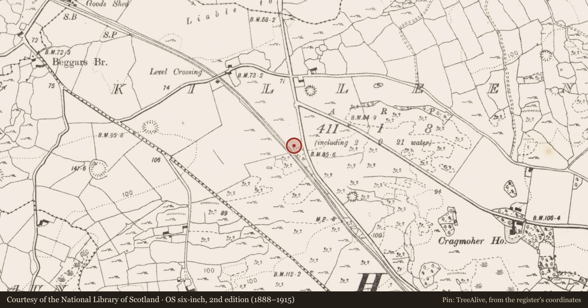 Ordnance Survey six-inch map, 2nd edition (1888–1915) covering the location of Enclosure, Killeen, County Clare, with a pin at the register's coordinates