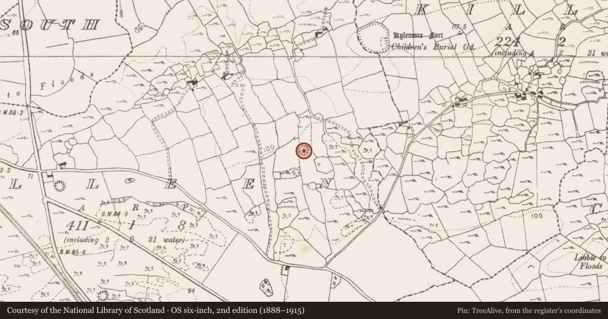 Ordnance Survey six-inch map, 2nd edition (1888–1915) covering the location of Ringfort - cashel, Killeen, County Clare, with a pin at the register's coordinates