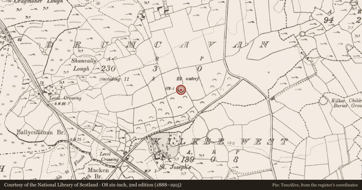 Ordnance Survey six-inch map, 2nd edition (1888–1915) covering the location of Ringfort - rath, Drumcavan, County Clare, with a pin at the register's coordinates