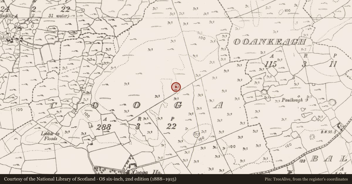Ordnance Survey six-inch map, 2nd edition (1888–1915) covering the location of Ringfort - cashel, Cooga, County Clare, with a pin at the register's coordinates