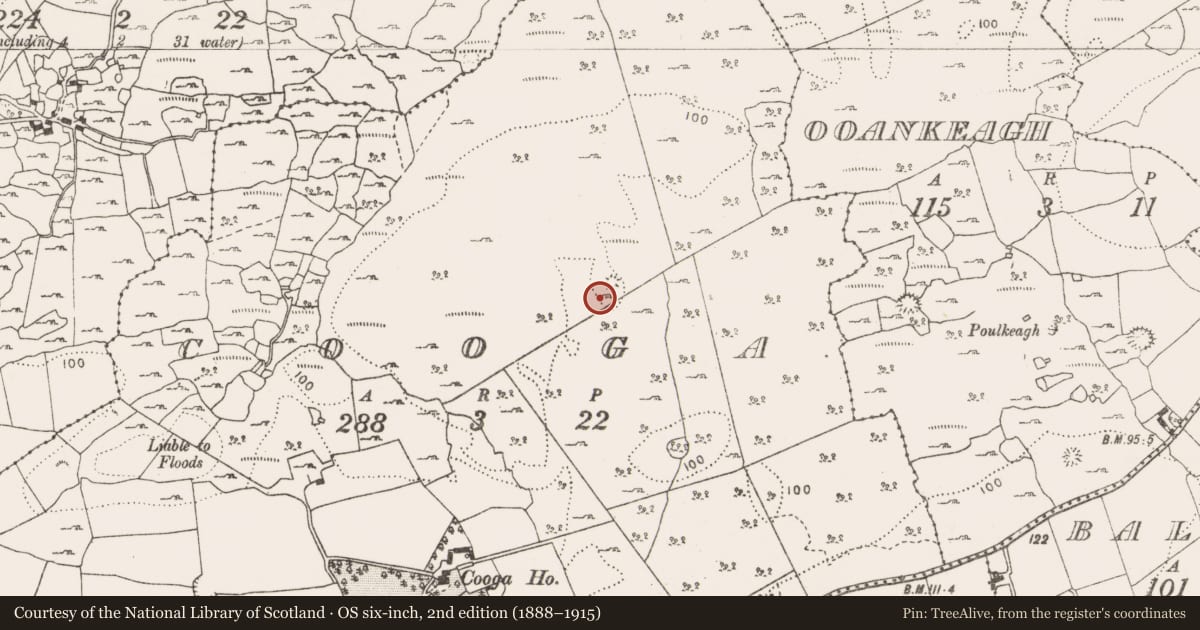 Ordnance Survey six-inch map, 2nd edition (1888–1915) covering the location of Field system, Cooga, County Clare, with a pin at the register's coordinates
