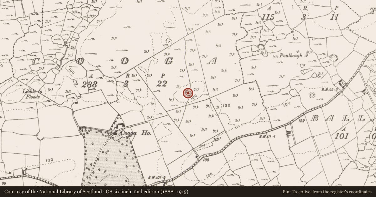 Ordnance Survey six-inch map, 2nd edition (1888–1915) covering the location of Ringfort - cashel, Cooga, County Clare, with a pin at the register's coordinates