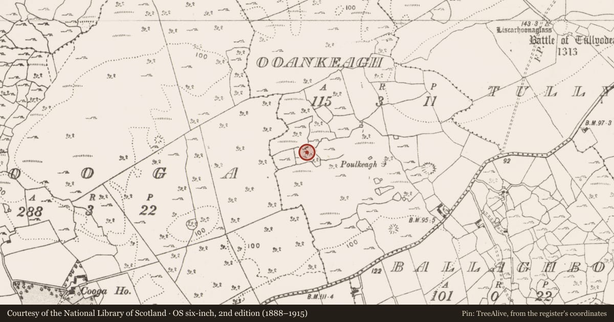 Ordnance Survey six-inch map, 2nd edition (1888–1915) covering the location of Ringfort - cashel, Ooankeagh, County Clare, with a pin at the register's coordinates
