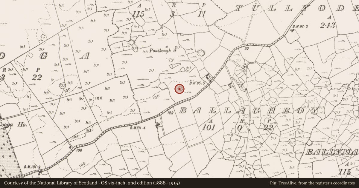 Ordnance Survey six-inch map, 2nd edition (1888–1915) covering the location of Enclosure, Ooankeagh, County Clare, with a pin at the register's coordinates