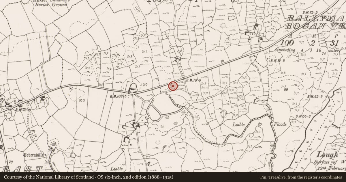 Ordnance Survey six-inch map, 2nd edition (1888–1915) covering the location of Ringfort - cashel, Rathcahaun, County Clare, with a pin at the register's coordinates