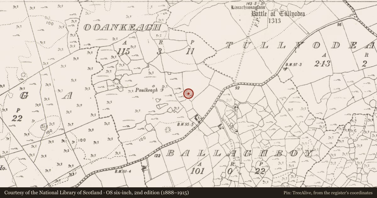 Ordnance Survey six-inch map, 2nd edition (1888–1915) covering the location of Ringfort - cashel, Ooankeagh, County Clare, with a pin at the register's coordinates