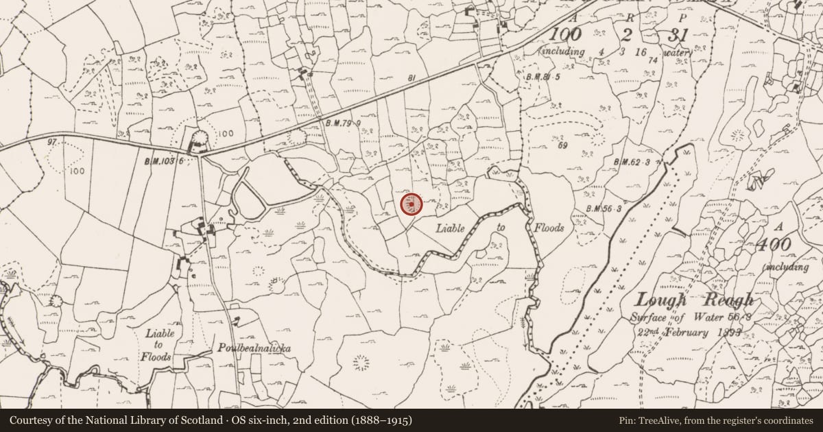 Ordnance Survey six-inch map, 2nd edition (1888–1915) covering the location of Earthwork, Rathcahaun, County Clare, with a pin at the register's coordinates