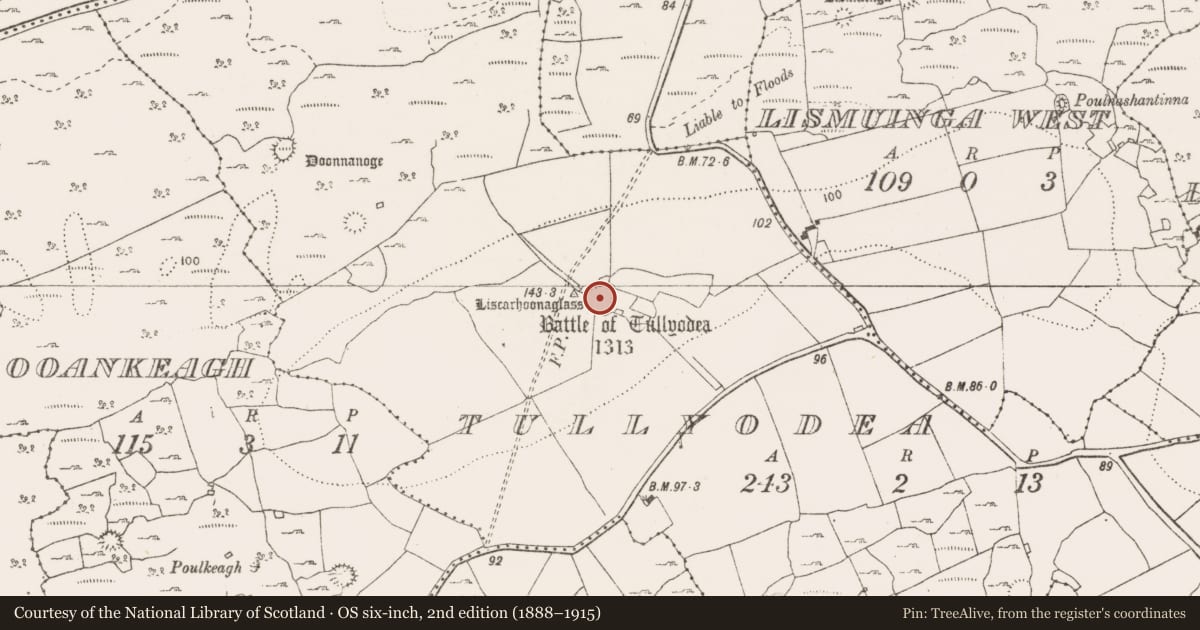 Ordnance Survey six-inch map, 2nd edition (1888–1915) covering the location of Ringfort - rath, Tullyodea, County Clare, with a pin at the register's coordinates