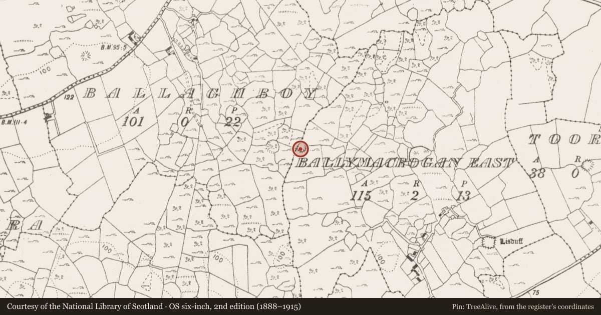 Ordnance Survey six-inch map, 2nd edition (1888–1915) covering the location of Ringfort - cashel, Ballymacrogan East, County Clare, with a pin at the register's coordinates