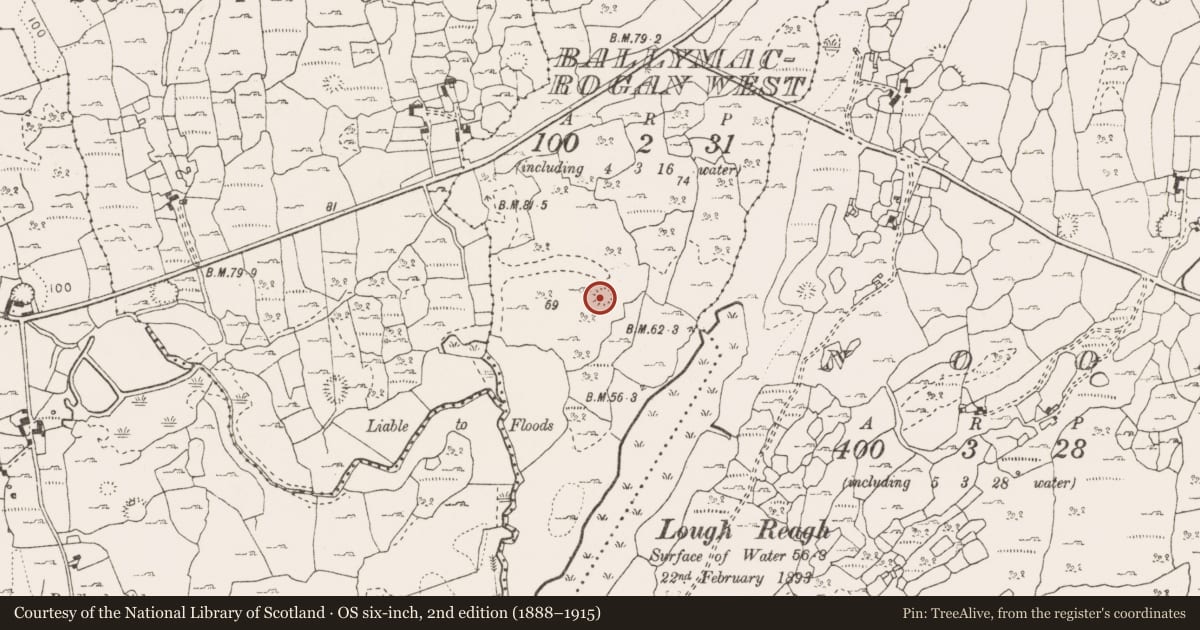 Ordnance Survey six-inch map, 2nd edition (1888–1915) covering the location of Ringfort - cashel, Ballymacrogan West, County Clare, with a pin at the register's coordinates