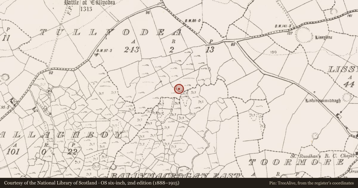 Ordnance Survey six-inch map, 2nd edition (1888–1915) covering the location of Enclosure, Tullyodea, County Clare, with a pin at the register's coordinates