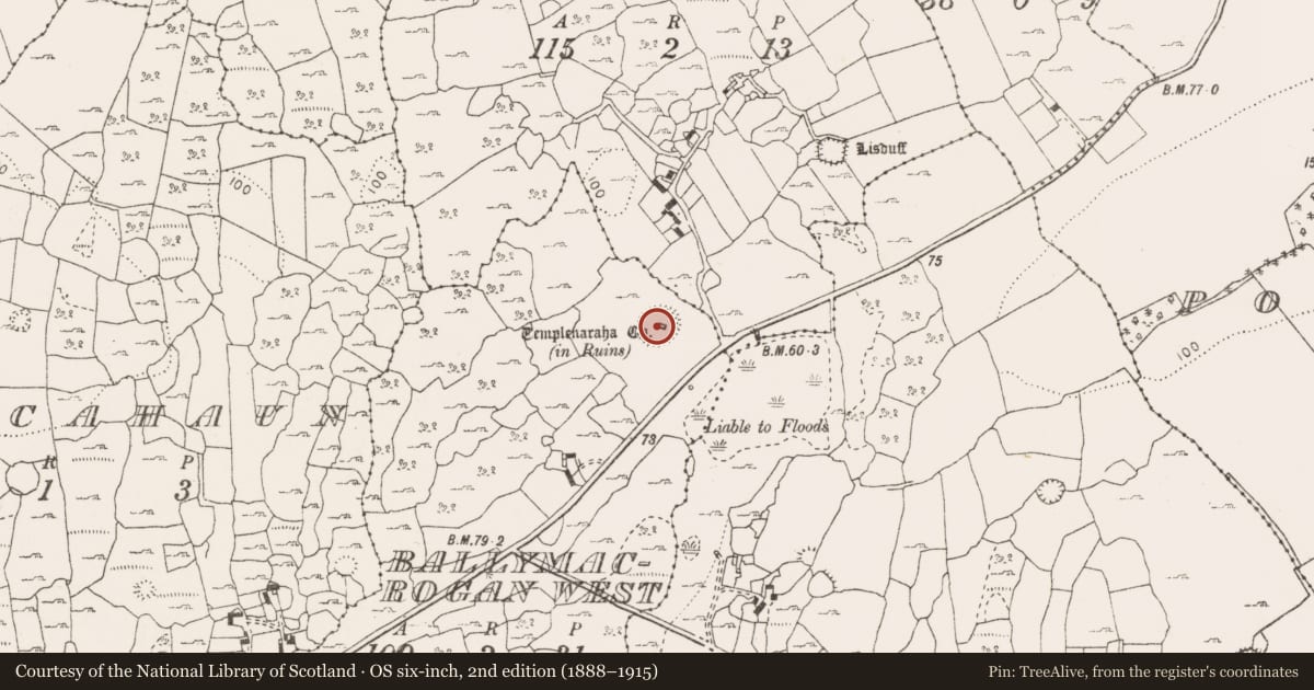 Ordnance Survey six-inch map, 2nd edition (1888–1915) covering the location of Ringfort - cashel, Ballymacrogan West, County Clare, with a pin at the register's coordinates