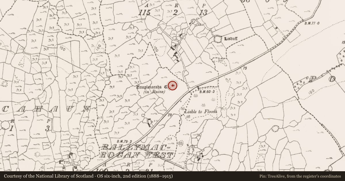 Ordnance Survey six-inch map, 2nd edition (1888–1915) covering the location of Church, Ballymacrogan West, County Clare, with a pin at the register's coordinates