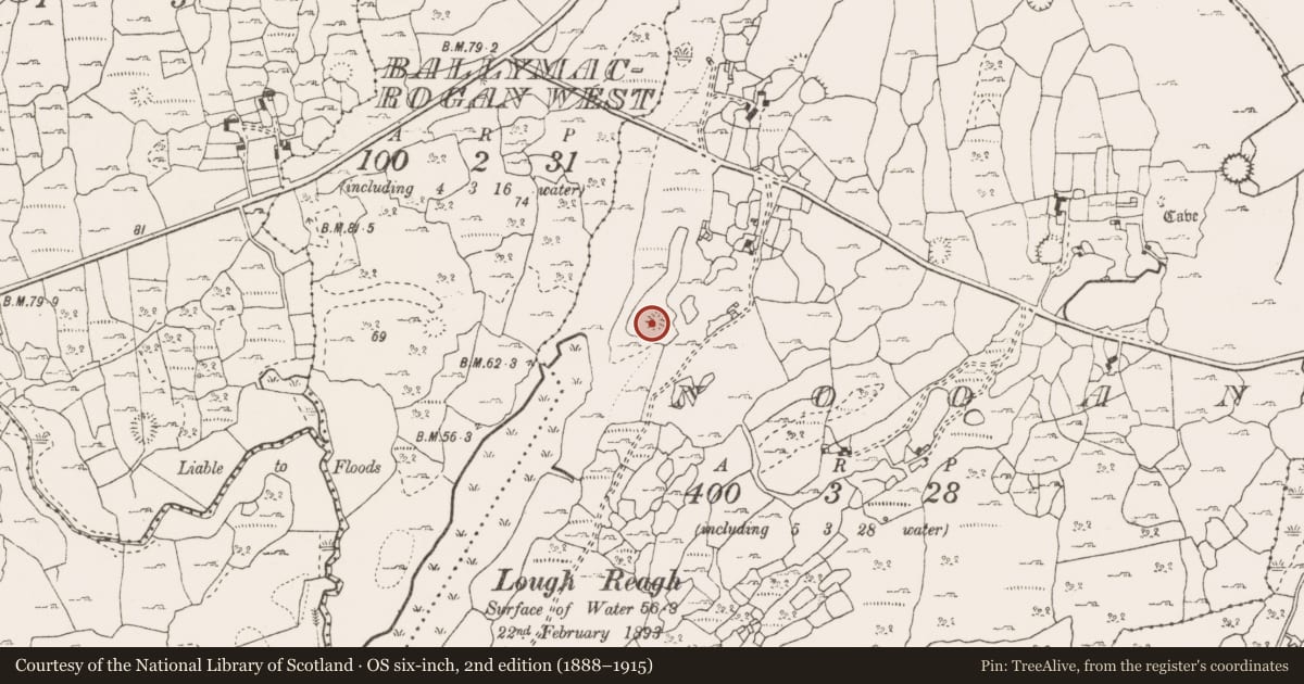 Ordnance Survey six-inch map, 2nd edition (1888–1915) covering the location of Ringfort - cashel, Nooan, County Clare, with a pin at the register's coordinates