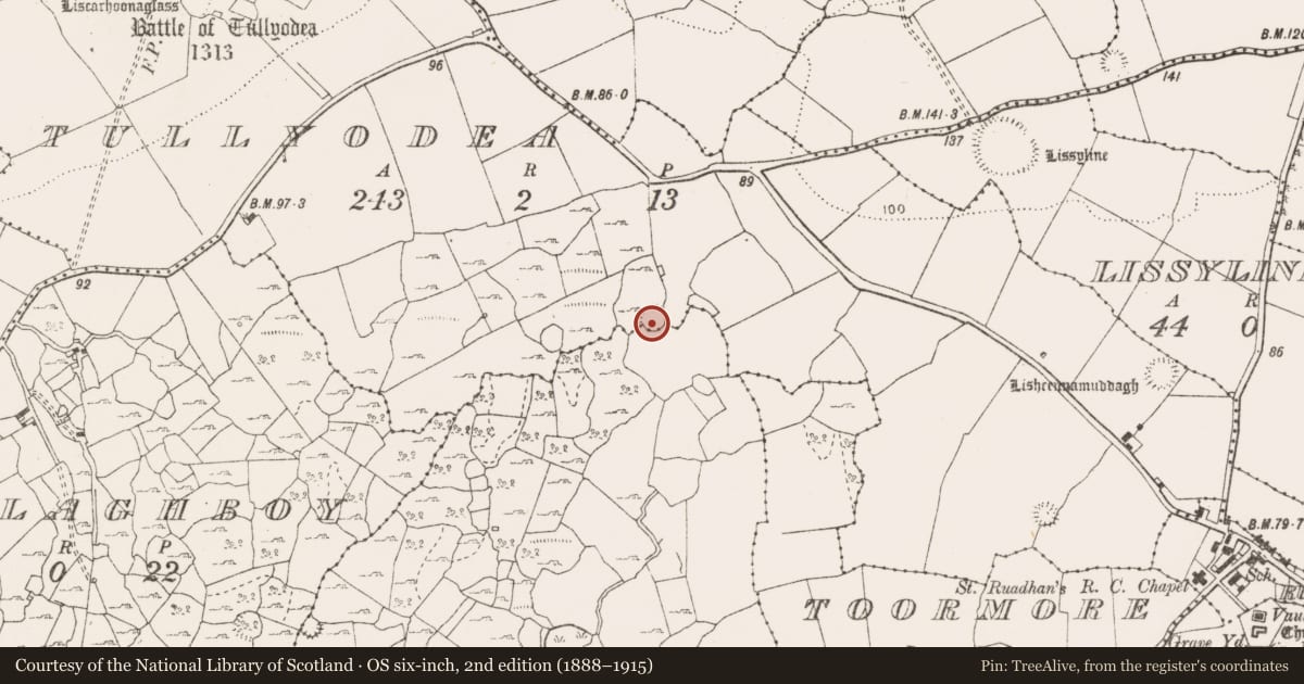 Ordnance Survey six-inch map, 2nd edition (1888–1915) covering the location of Ringfort - cashel, Tullyodea, County Clare, with a pin at the register's coordinates