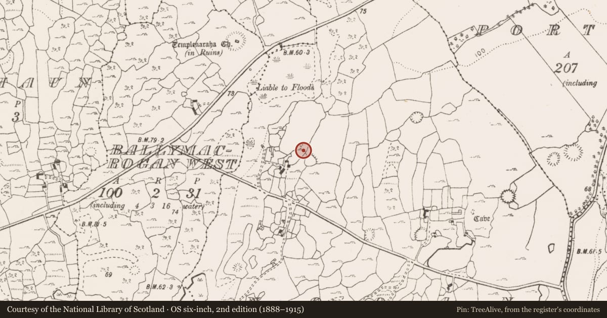 Ordnance Survey six-inch map, 2nd edition (1888–1915) covering the location of Ringfort - cashel, Nooan, County Clare, with a pin at the register's coordinates