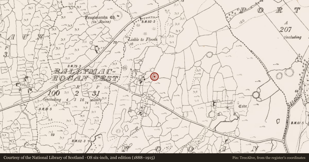 Ordnance Survey six-inch map, 2nd edition (1888–1915) covering the location of Ringfort - cashel, Nooan, County Clare, with a pin at the register's coordinates
