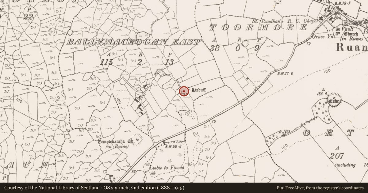 Ordnance Survey six-inch map, 2nd edition (1888–1915) covering the location of Ringfort - cashel, Ballymacrogan East, County Clare, with a pin at the register's coordinates