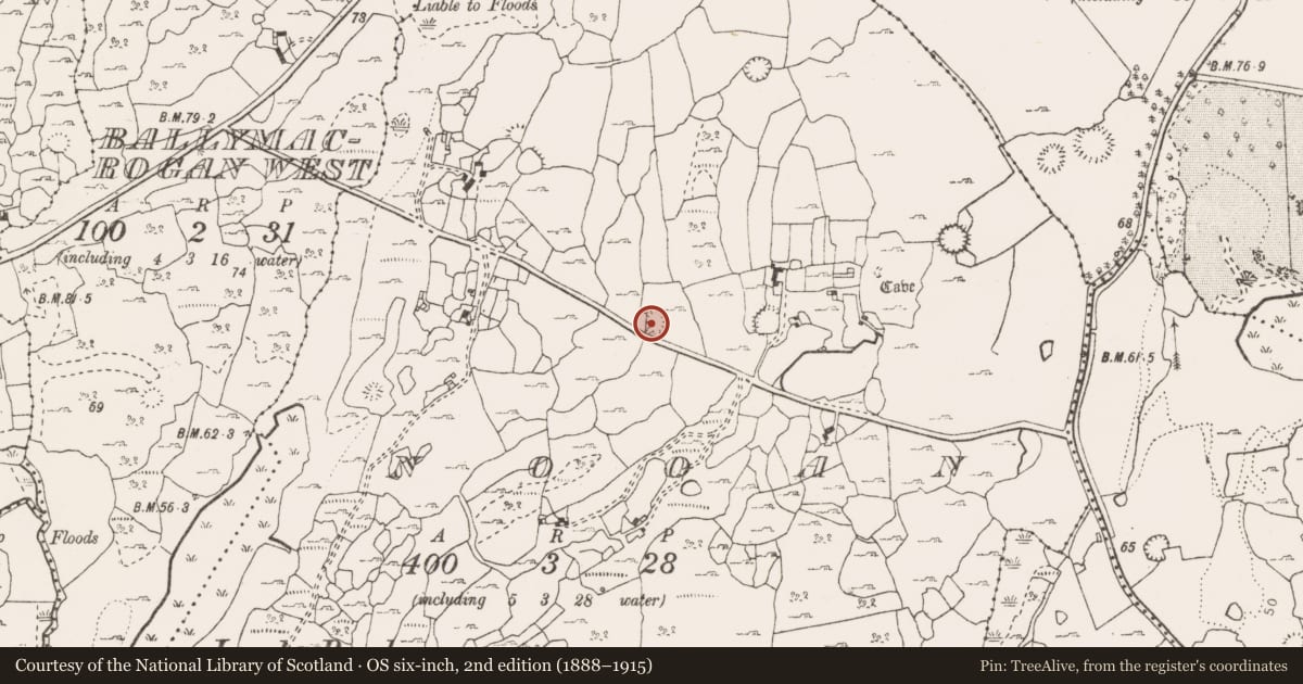 Ordnance Survey six-inch map, 2nd edition (1888–1915) covering the location of Ringfort - cashel, Nooan, County Clare, with a pin at the register's coordinates