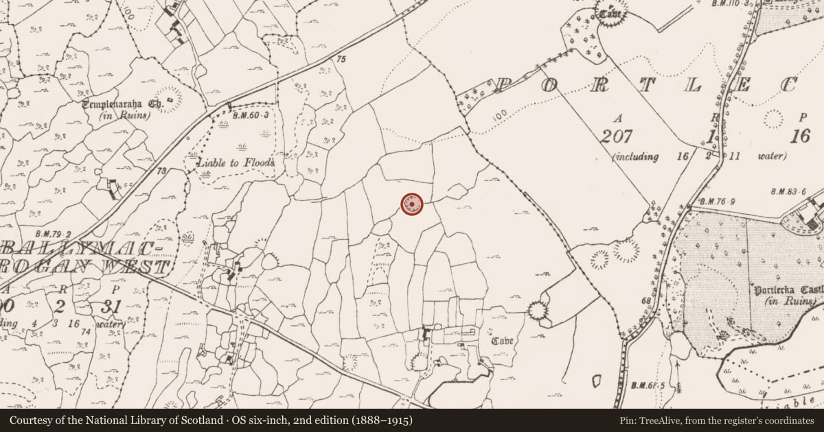 Ordnance Survey six-inch map, 2nd edition (1888–1915) covering the location of Ringfort - cashel, Nooan, County Clare, with a pin at the register's coordinates