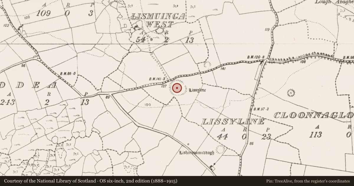 Ordnance Survey six-inch map, 2nd edition (1888–1915) covering the location of Ringfort - rath, Lissyline, County Clare, with a pin at the register's coordinates