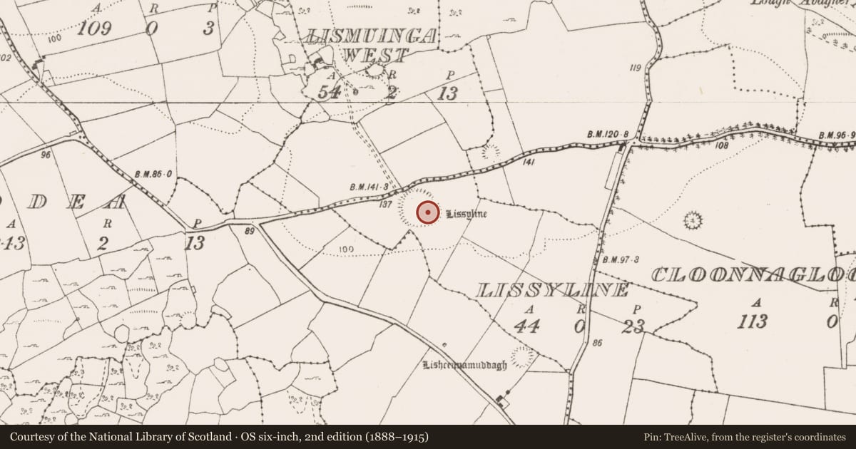 Ordnance Survey six-inch map, 2nd edition (1888–1915) covering the location of Souterrain, Lissyline, County Clare, with a pin at the register's coordinates