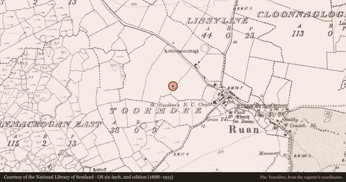 Ordnance Survey six-inch map, 2nd edition (1888–1915) covering the location of Enclosure, Tullyodea, County Clare, with a pin at the register's coordinates