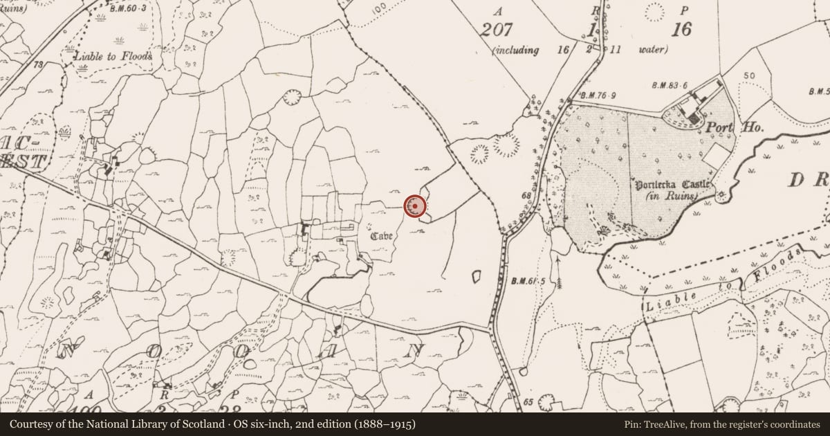 Ordnance Survey six-inch map, 2nd edition (1888–1915) covering the location of Ringfort - cashel, Nooan, County Clare, with a pin at the register's coordinates
