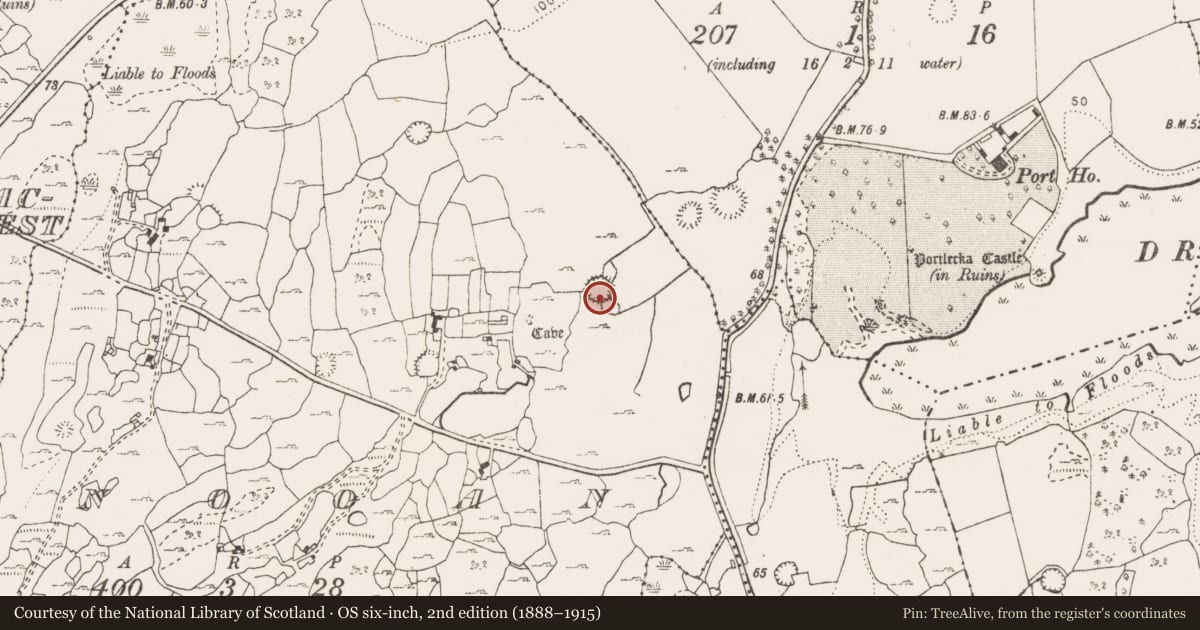 Ordnance Survey six-inch map, 2nd edition (1888–1915) covering the location of House - indeterminate date, Nooan, County Clare, with a pin at the register's coordinates