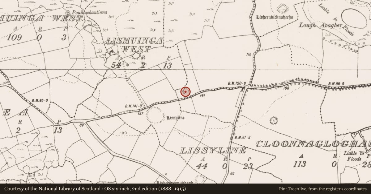 Ordnance Survey six-inch map, 2nd edition (1888–1915) covering the location of Ringfort - rath, Loughaunnaweelaun, County Clare, with a pin at the register's coordinates