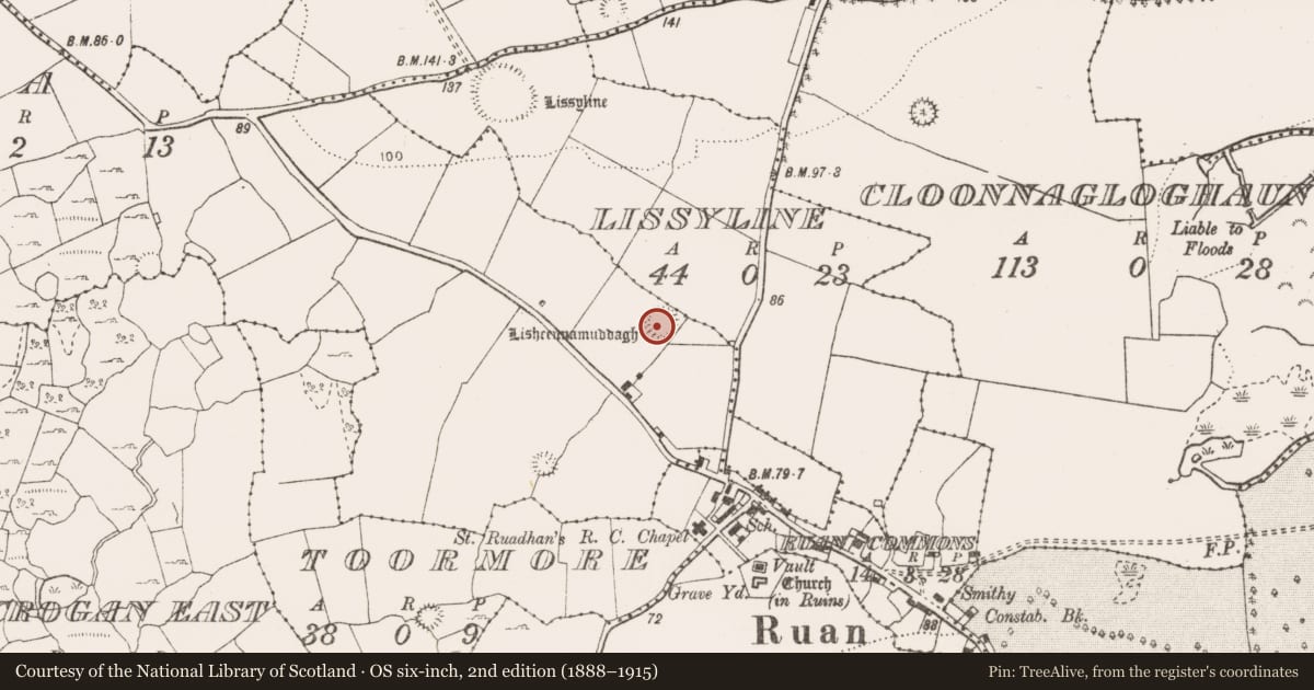 Ordnance Survey six-inch map, 2nd edition (1888–1915) covering the location of Ringfort - rath, Tullyodea, County Clare, with a pin at the register's coordinates