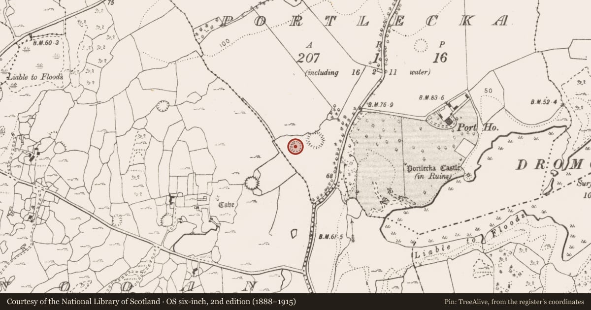 Ordnance Survey six-inch map, 2nd edition (1888–1915) covering the location of Ringfort - cashel, Portlecka, County Clare, with a pin at the register's coordinates