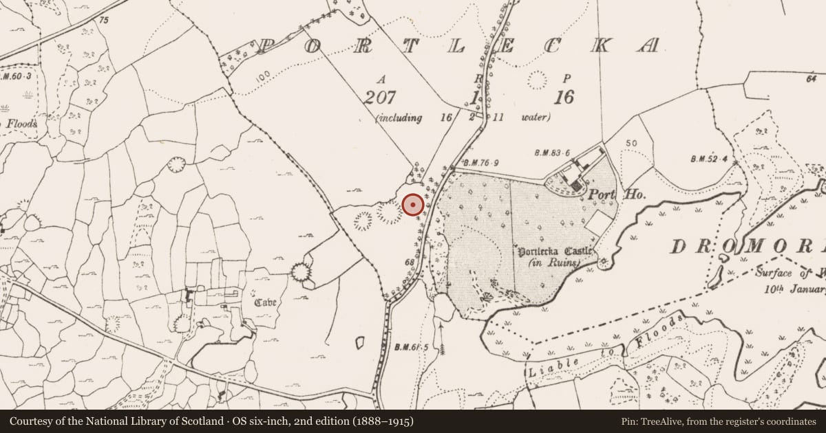 Ordnance Survey six-inch map, 2nd edition (1888–1915) covering the location of Field system, Portlecka, County Clare, with a pin at the register's coordinates