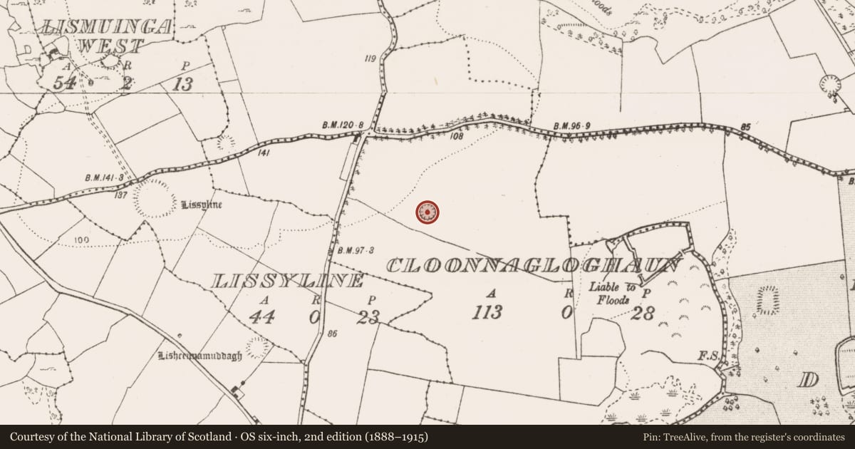 Ordnance Survey six-inch map, 2nd edition (1888–1915) covering the location of Ringfort - rath, Cloonnagloghaun, County Clare, with a pin at the register's coordinates
