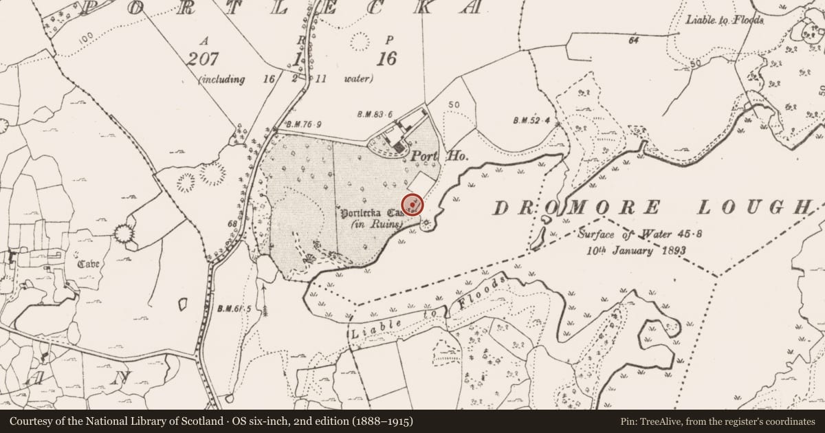 Ordnance Survey six-inch map, 2nd edition (1888–1915) covering the location of House - indeterminate date, Portlecka, County Clare, with a pin at the register's coordinates