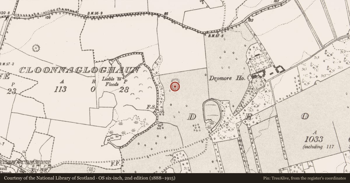 Ordnance Survey six-inch map, 2nd edition (1888–1915) covering the location of Enclosure, Dromore, County Clare, with a pin at the register's coordinates
