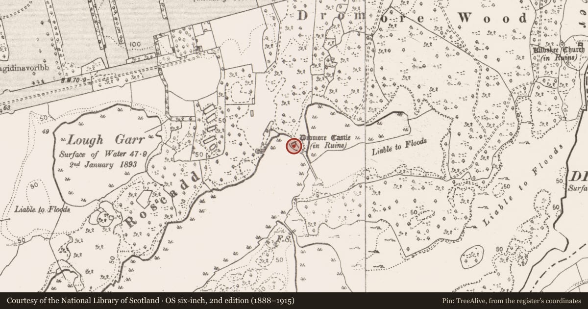 Ordnance Survey six-inch map, 2nd edition (1888–1915) covering the location of Castle - tower house, Dromore, County Clare, with a pin at the register's coordinates